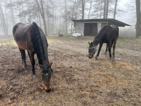 I přes nepříznivé počasí jsme si výlet užili